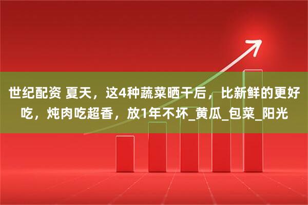 世纪配资 夏天，这4种蔬菜晒干后，比新鲜的更好吃，炖肉吃超香，放1年不坏_黄瓜_包菜_阳光