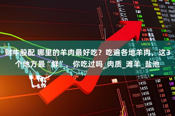 财牛股配 哪里的羊肉最好吃？吃遍各地羊肉，这3个地方最“鲜”，你吃过吗_肉质_滩羊_盐池