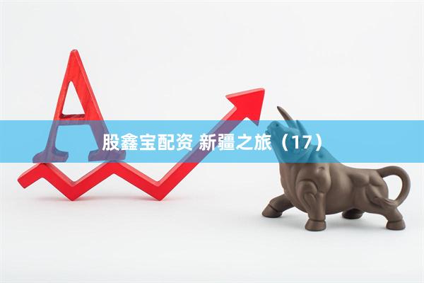 股鑫宝配资 新疆之旅（17）